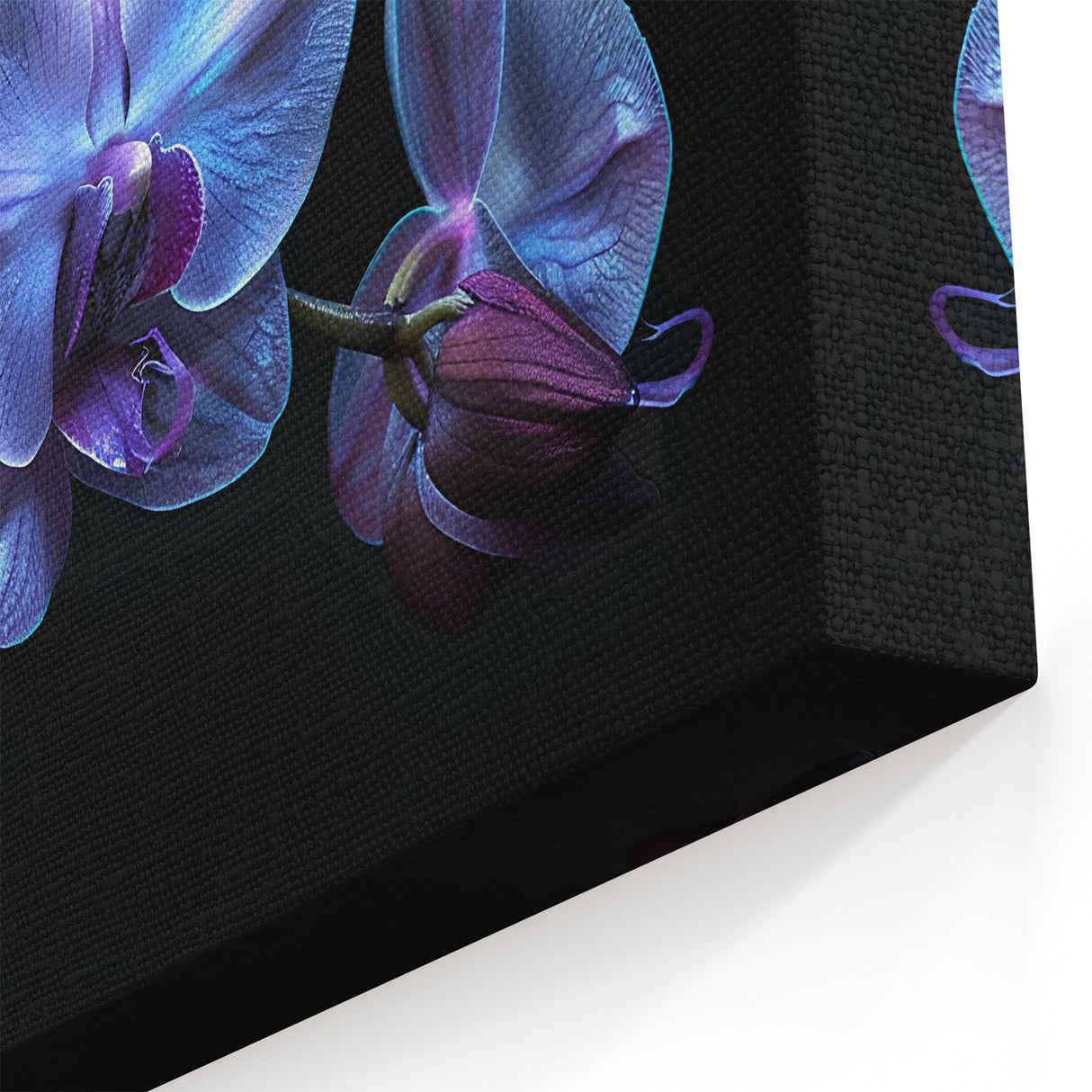Exquisite Orchid Flower Art - Blue Orchid Canvas Print for Home Decor