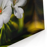 White Geranium Flower Art - Botanical Canvas Print - Nature-Inspired Decor