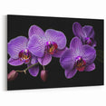 Vibrant Purple Orchid Wall Art - Botanical Orchid Canvas Print Decor