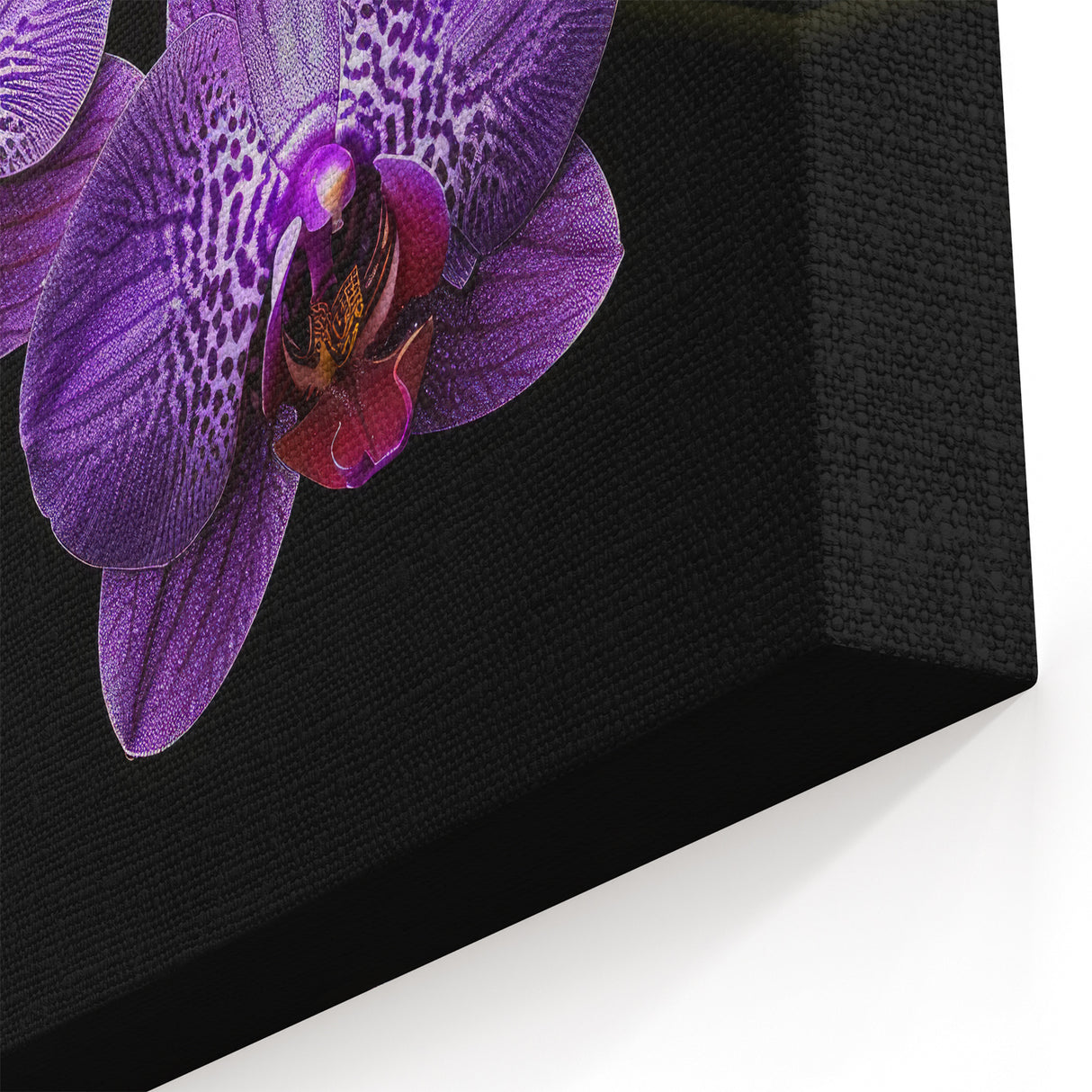 Vibrant Purple Orchid Wall Art - Botanical Orchid Canvas Print Decor