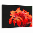 Bold Red Geranium Flower Art - Botanical Canvas Wall Decor - Floral Print