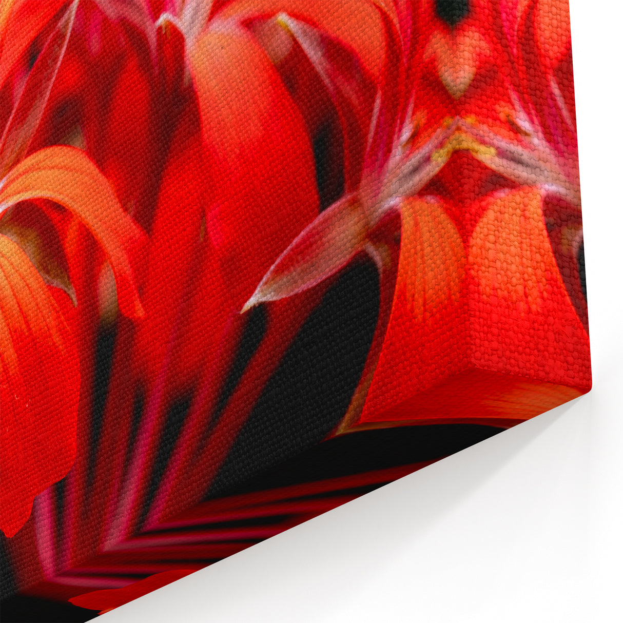 Bold Red Geranium Flower Art - Botanical Canvas Wall Decor - Floral Print