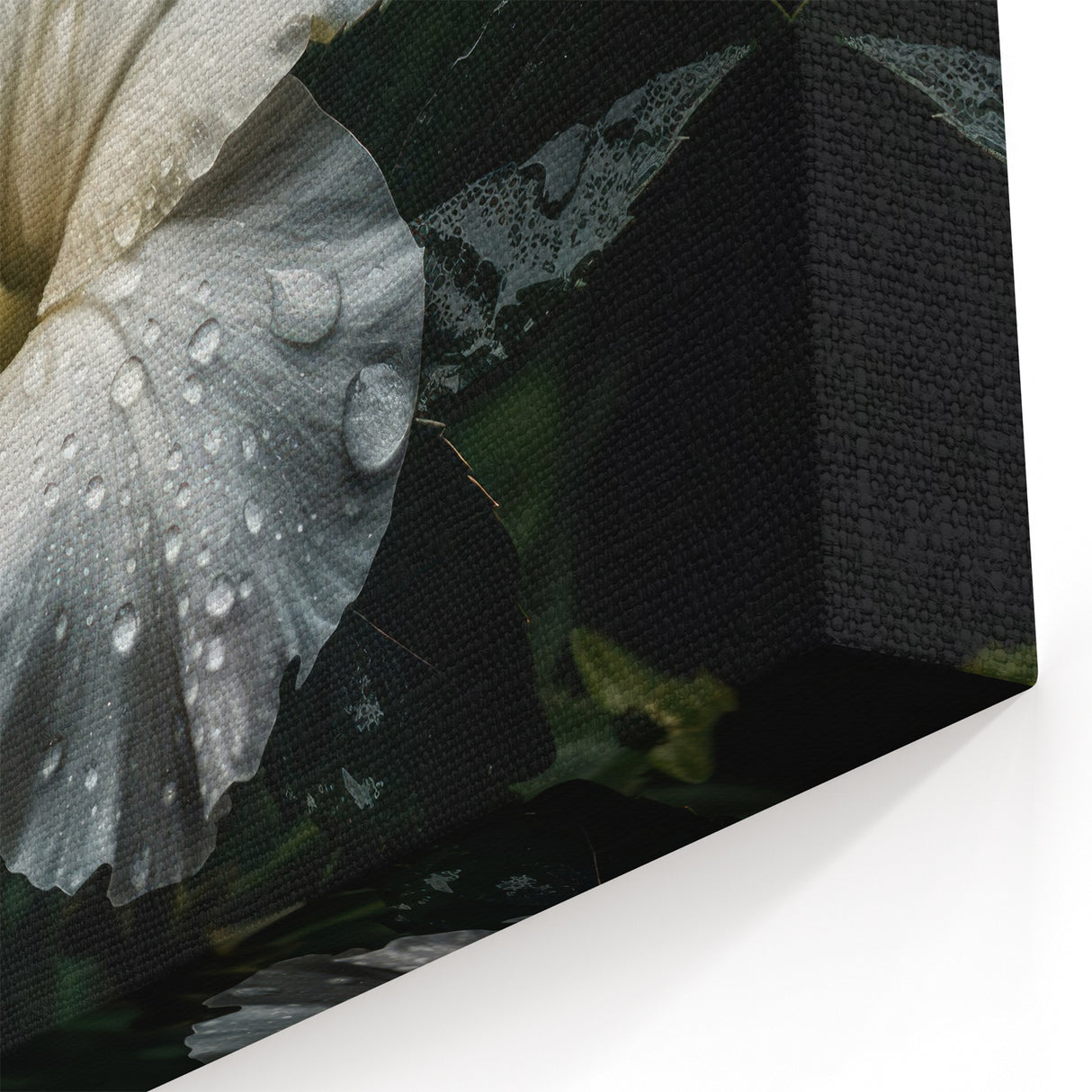 Elegant White Hibiscus Wall Art – Botanical Floral Decor on Canvas or Print