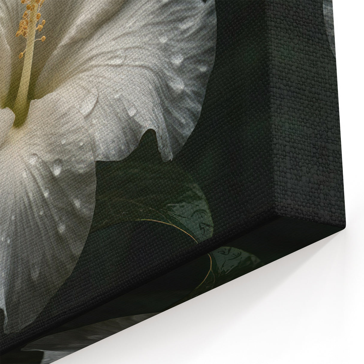 Graceful White Hibiscus Wall Art – Botanical Floral Decor for Your Space