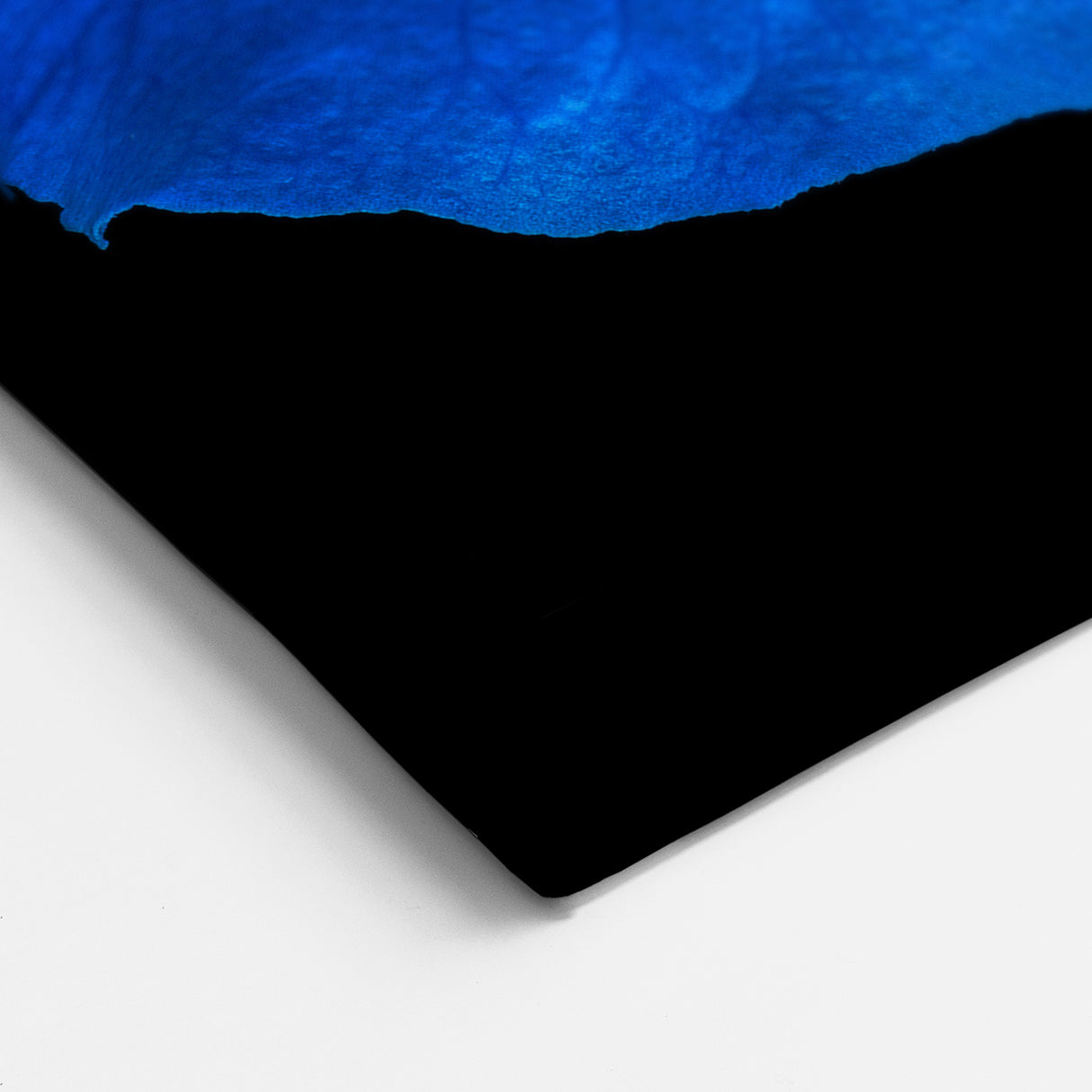 Bold Blue Hibiscus Wall Art – Striking Botanical Floral Canvas or Print