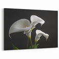 Minimalist White Calla Lily Art - Botanical Canvas Print Wall Decor