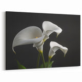 Minimalist White Calla Lily Art - Botanical Canvas Print Wall Decor