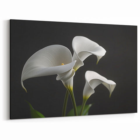 Minimalist White Calla Lily Art - Botanical Canvas Print Wall Decor