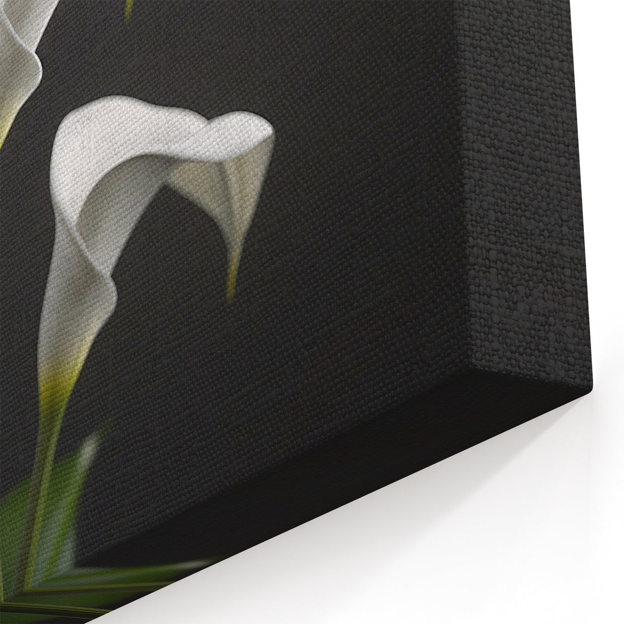 Minimalist White Calla Lily Art - Botanical Canvas Print Wall Decor