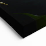 Minimalist White Calla Lily Art - Botanical Canvas Print Wall Decor