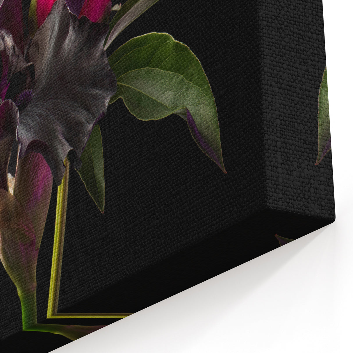 Elegant Peony Flower Art - Peony Wall Art Print for Home Decor