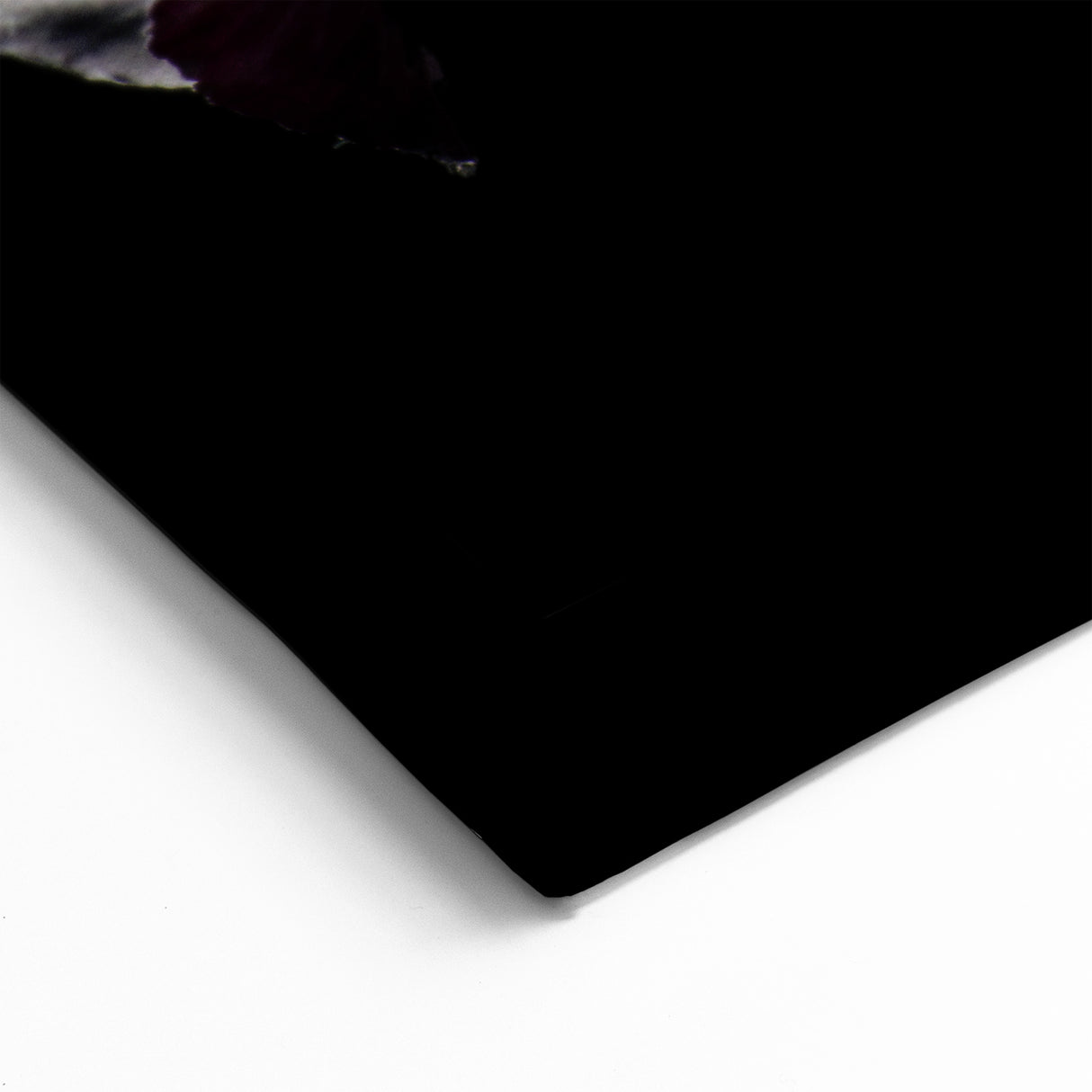 Elegant Peony Flower Art - Peony Wall Art Print for Home Decor