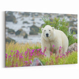 Manitoba Scenery Wall Art - Polar Bear in Scenic Landscape Print