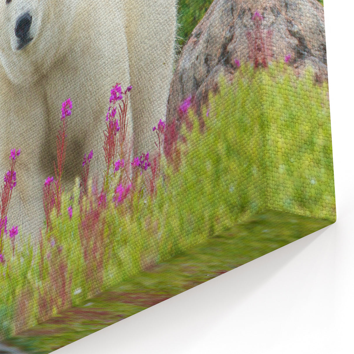 Manitoba Scenery Wall Art - Polar Bear in Scenic Landscape Print