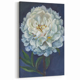 Soft White Peony Art - Classic Peony Botanical Canvas for Home Decor