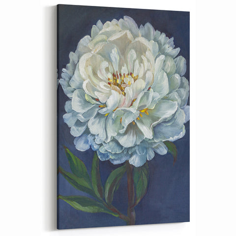 Soft White Peony Art - Classic Peony Botanical Canvas for Home Decor