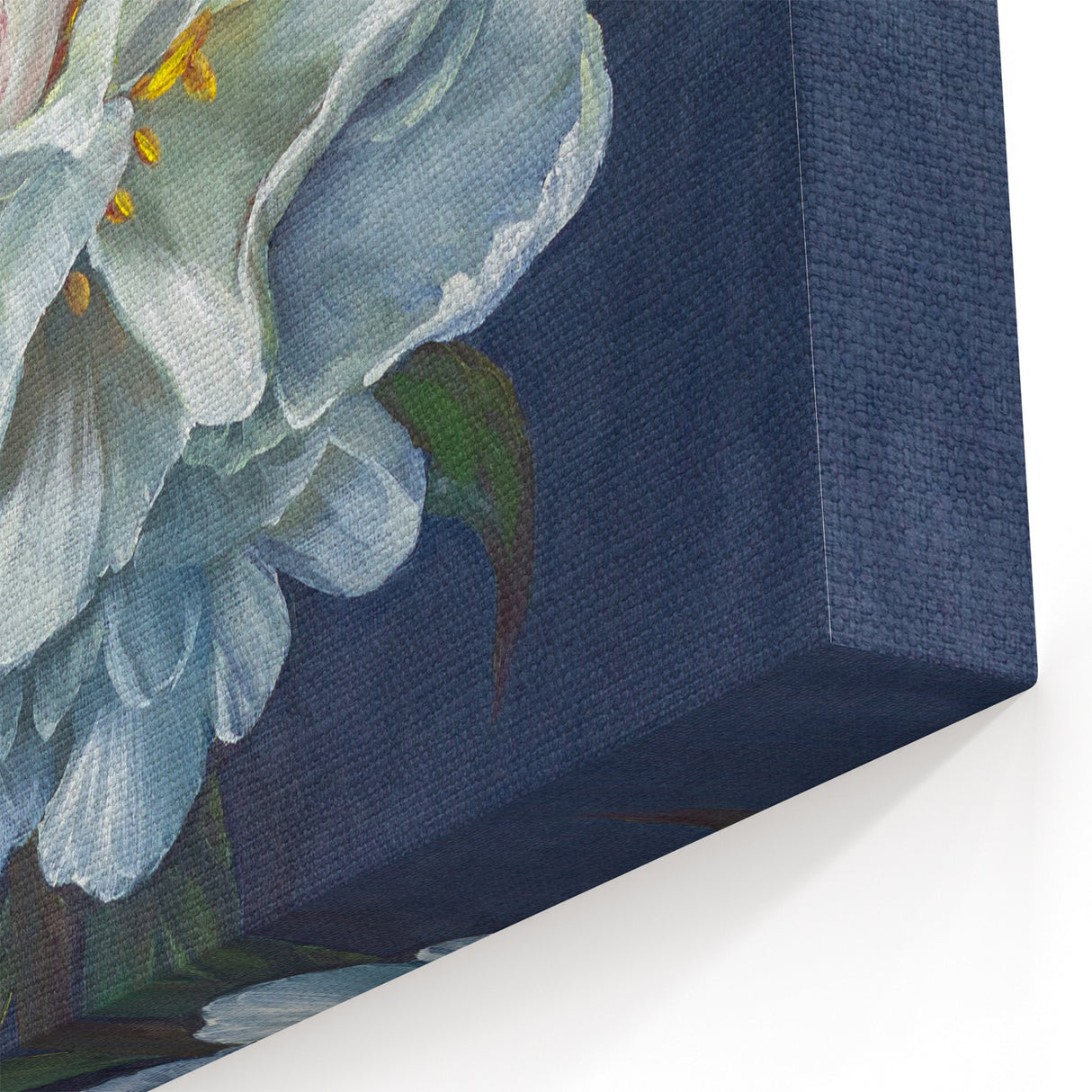 Soft White Peony Art - Classic Peony Botanical Canvas for Home Decor