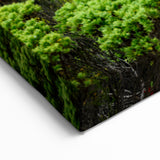 Adelaide Wall Art - Vibrant South Australian Landscape Canvas Prints