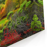 Adelaide Wall Art - Vibrant South Australian Landscape Canvas Prints