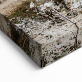 Adelaide Scenery Art - Winter Cabin in South Australia Wall Art Prints