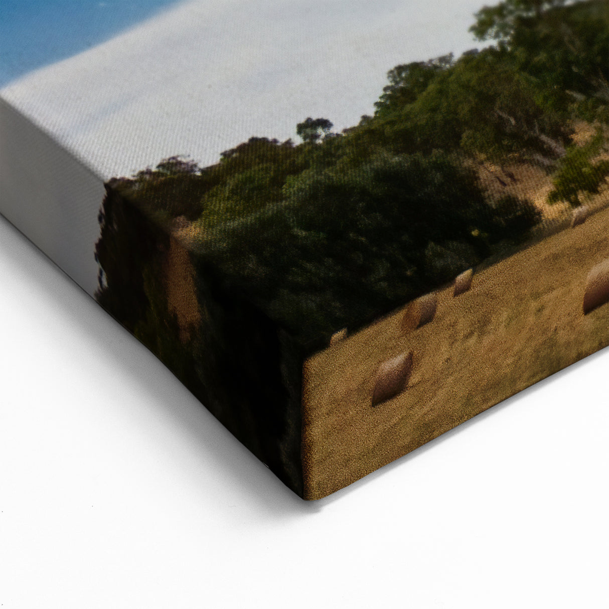 Adelaide Landscape Paintings - Starry Night Over Rural South Australia Art