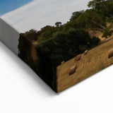 Adelaide Landscape Paintings - Starry Night Over Rural South Australia Art