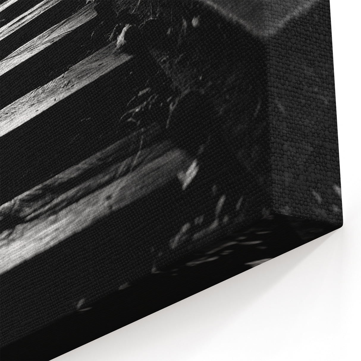 Adelaide Canvas Prints - Black and White Railway Tunnel Art for Home Decor