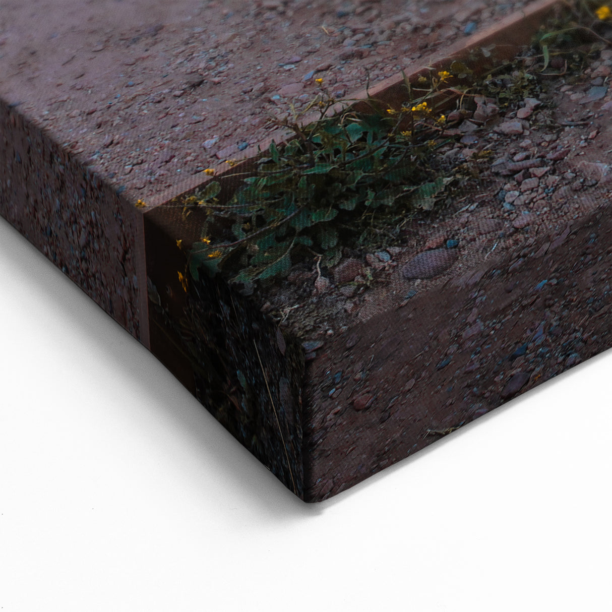 Adelaide Scenery Art - Coastal Pathway at Sunset South Australia Wall Art