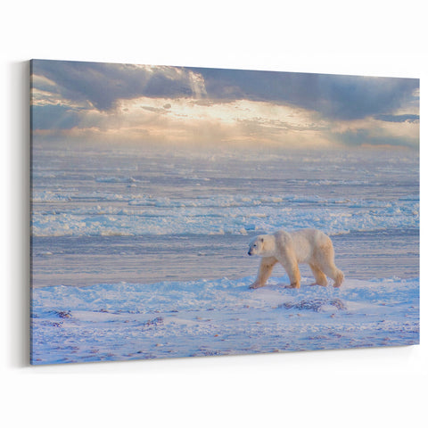 Polar Bear on Arctic Ice - Majestic Manitoba Winter Landscape Wall Art