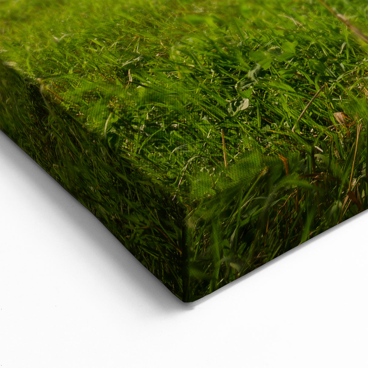 Scenic New Brunswick Wall Art - Beautiful Landscape Canvas & Framed Prints