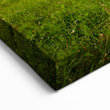 Scenic New Brunswick Wall Art - Beautiful Landscape Canvas & Framed Prints