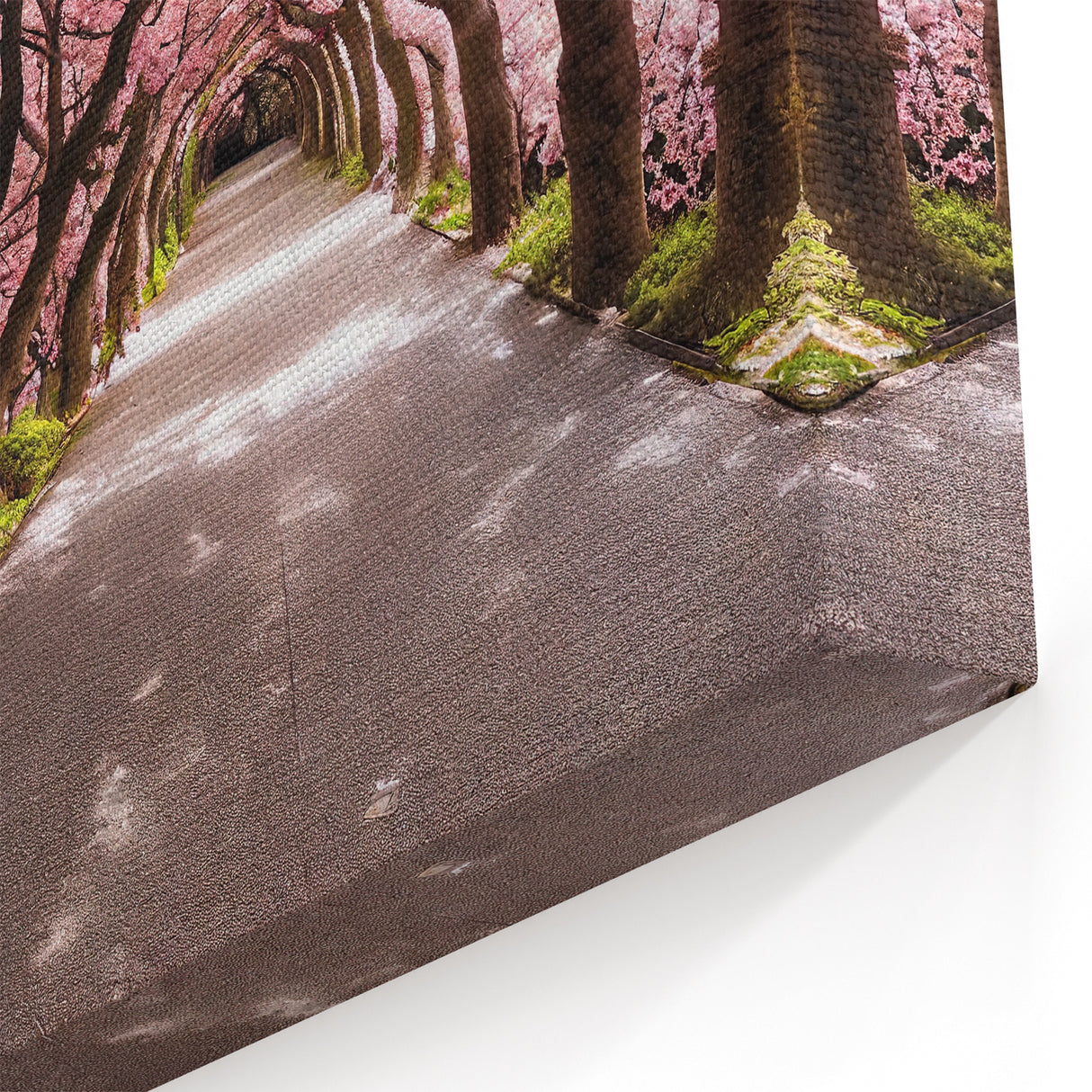 Cherry Blossom Tunnel Art Print – Serene Japanese Path with Sakura Trees