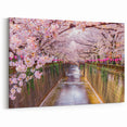 Cherry Blossom Canal Art Print – Peaceful Spring Scene with Sakura Trees
