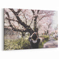 Cherry Blossom Photography Art Print – Capturing Sakura in Full Bloom