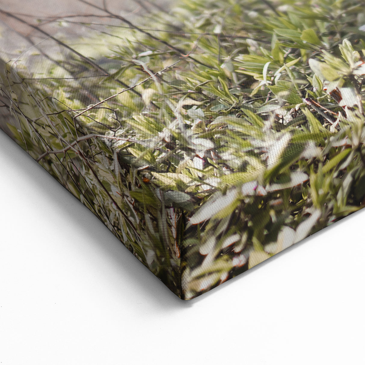 Cherry Blossom Photography Art Print – Capturing Sakura in Full Bloom