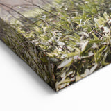 Cherry Blossom Photography Art Print – Capturing Sakura in Full Bloom