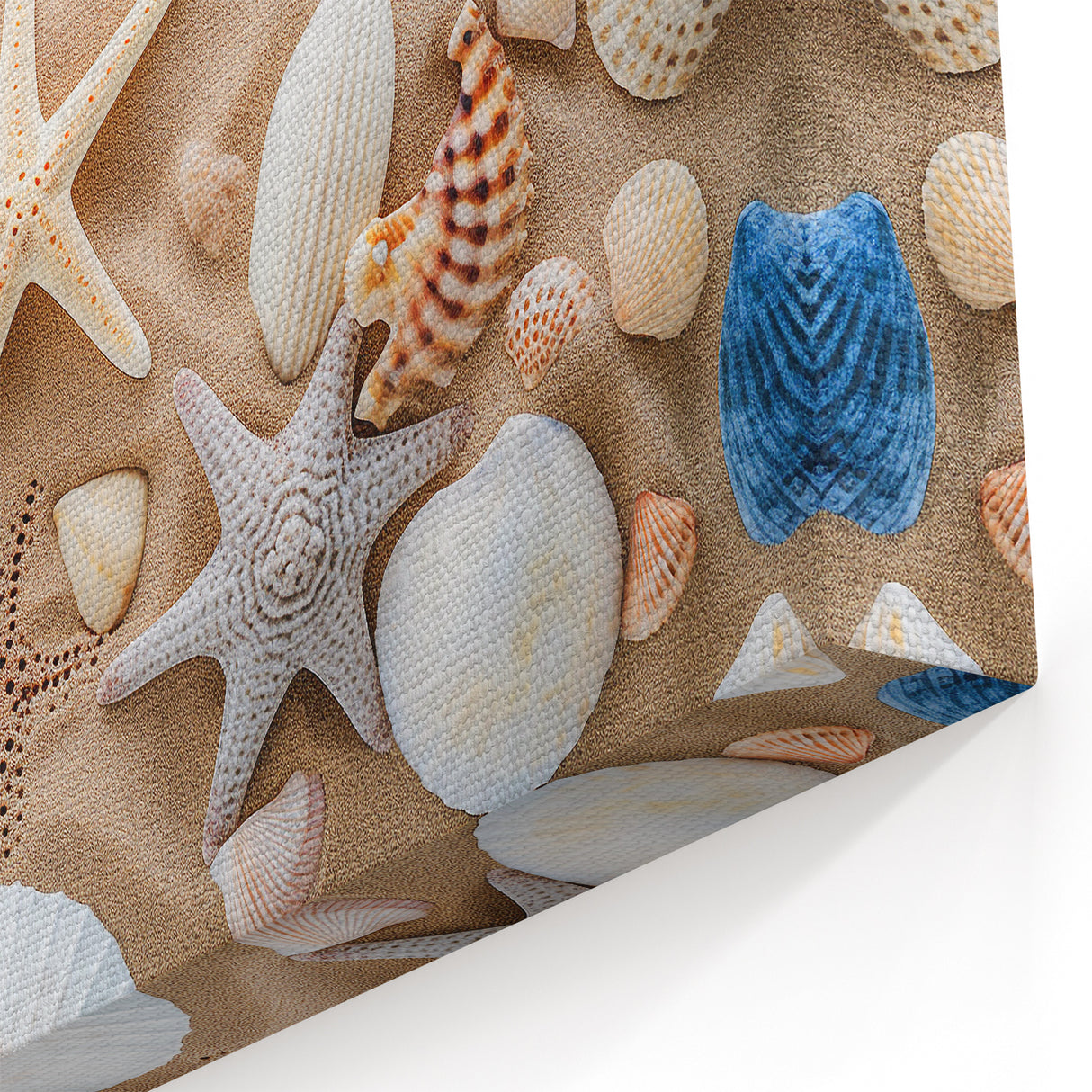 Vibrant Seashells Cancun Wall Art - Coastal Starfish Beach Decor Print