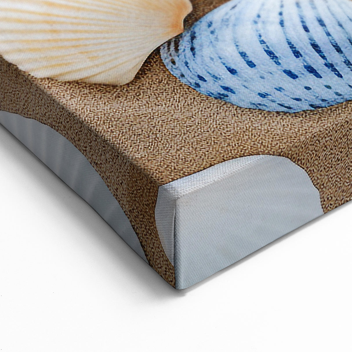 Vibrant Seashells Cancun Wall Art - Coastal Starfish Beach Decor Print