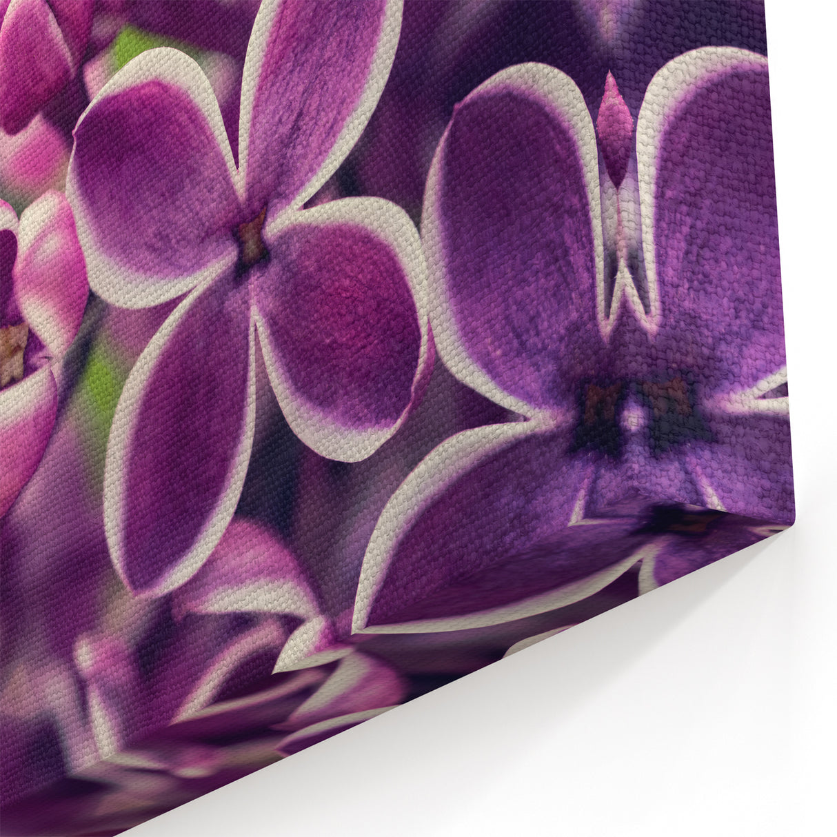 Purple Lavender Wall Art – Floral Lavender Canvas Prints for Home Decor