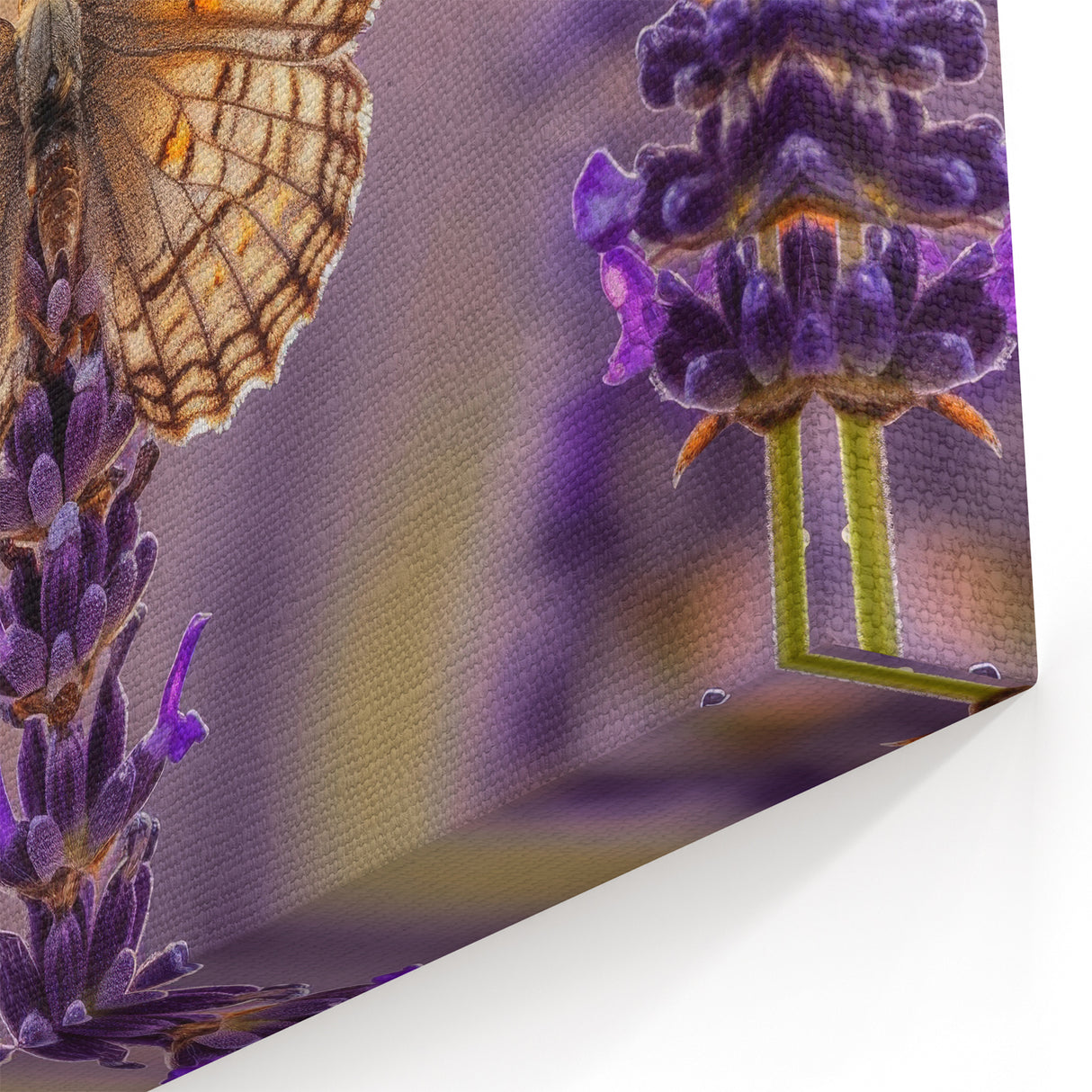 Butterfly on Lavender Bloom Art – Nature-Inspired Floral Canvas Prints
