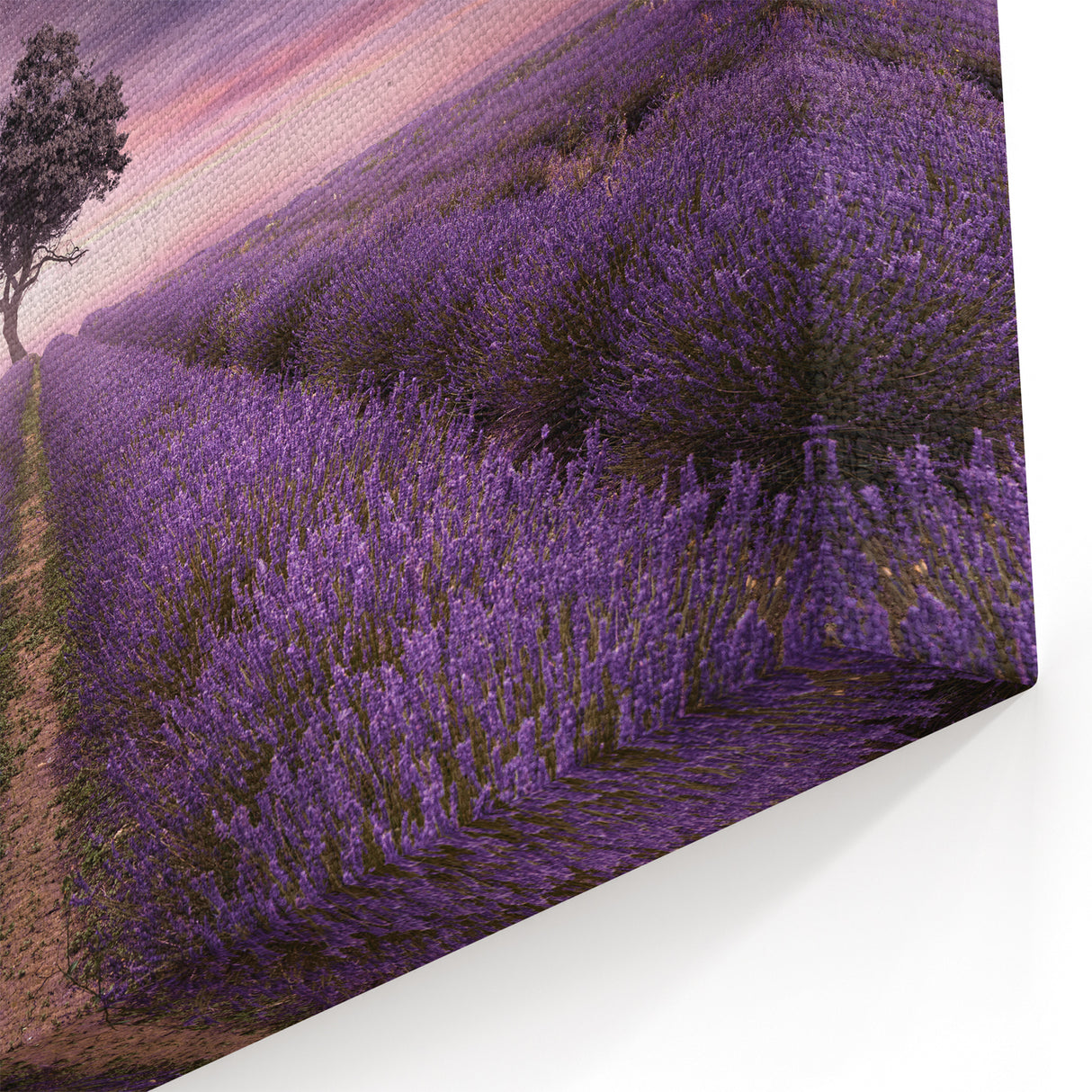 Night Sky Over Lavender Fields – Dreamy Lavender Canvas Wall Art