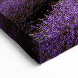 Night Sky Over Lavender Fields – Dreamy Lavender Canvas Wall Art