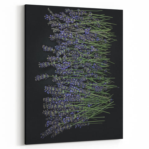 Minimalist Lavender Wall Art – Lavender Flower Canvas for Modern Decor