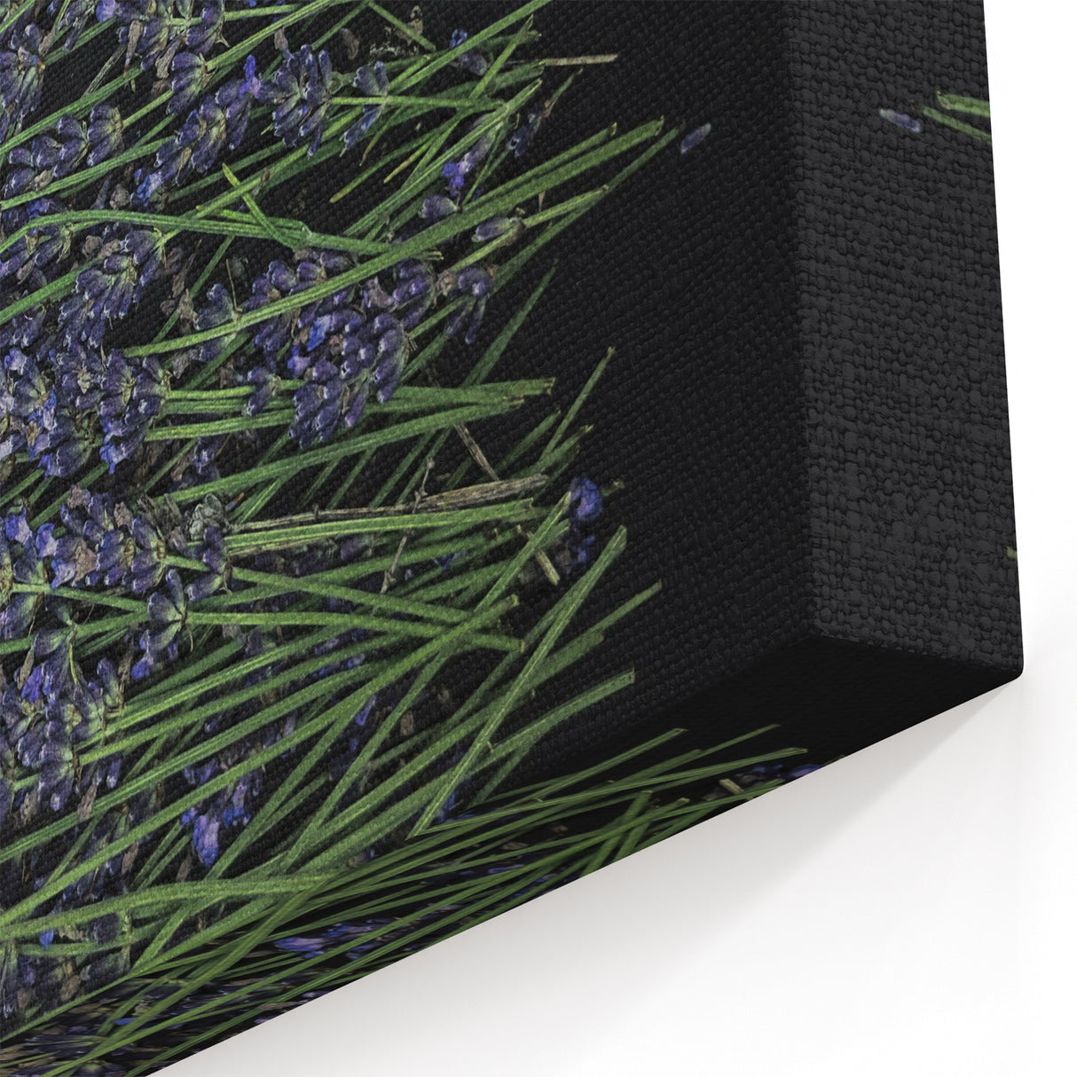 Minimalist Lavender Wall Art – Lavender Flower Canvas for Modern Decor