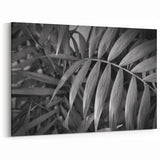 Botanical Leaves Art in Black & White - Greenery Wall Decor - Leaf Print