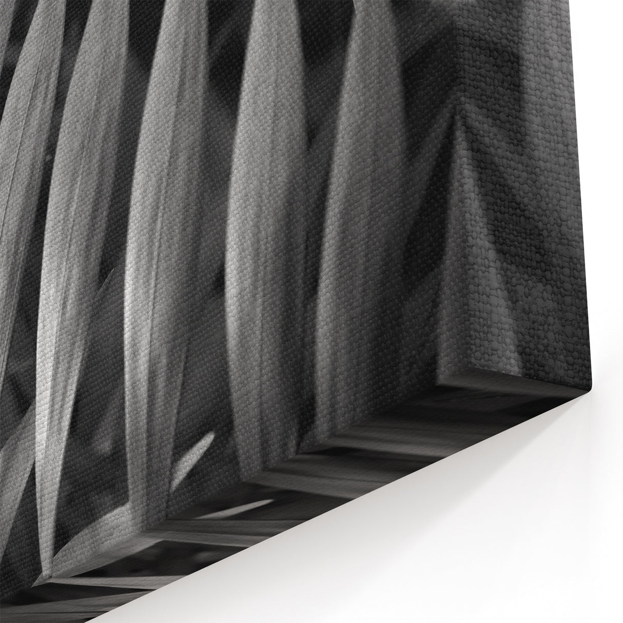 Botanical Leaves Art in Black & White - Greenery Wall Decor - Leaf Print