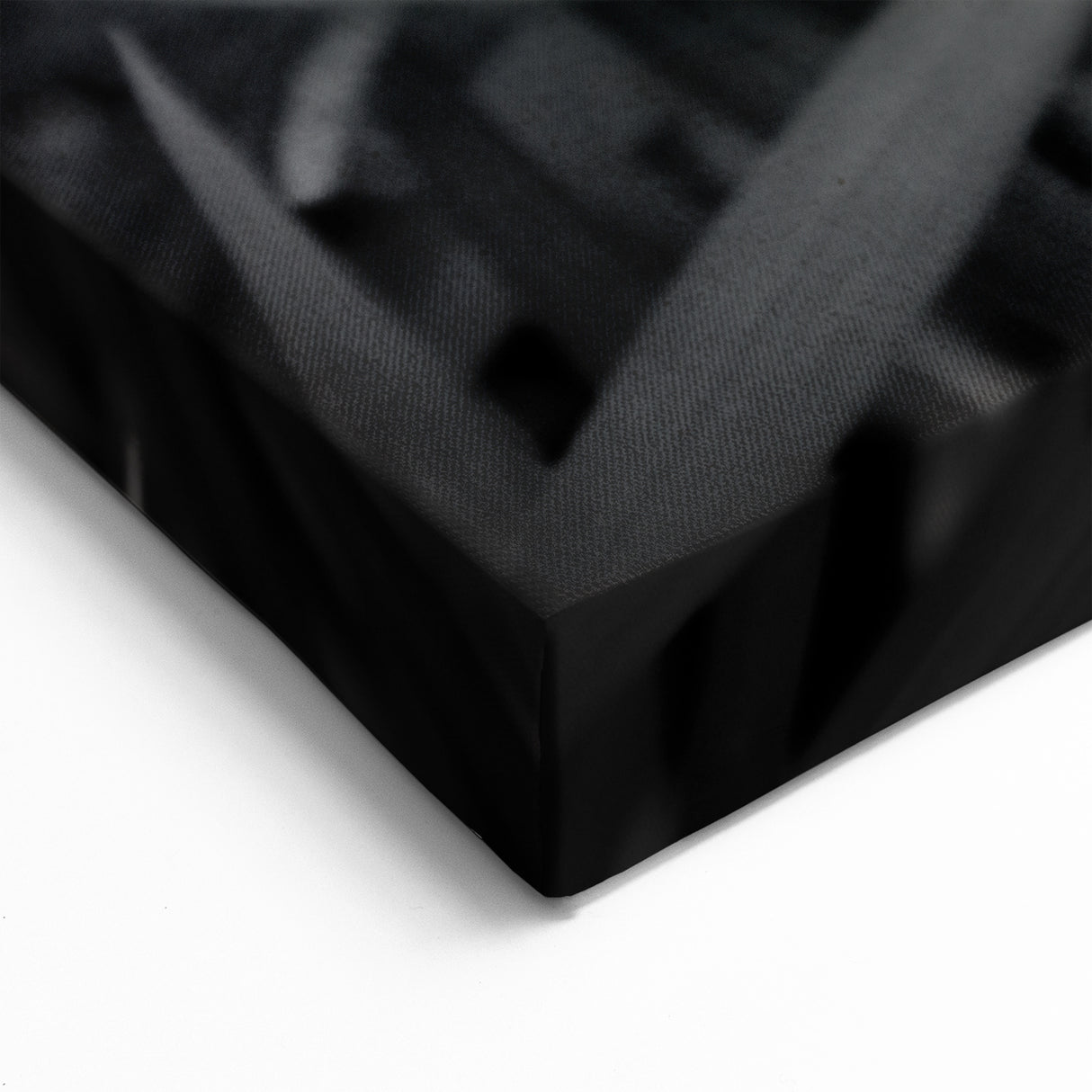 Botanical Leaves Art in Black & White - Greenery Wall Decor - Leaf Print