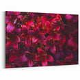 Vibrant Red Botanical Leaves Wall Art - Tropical Leaf Print Decor