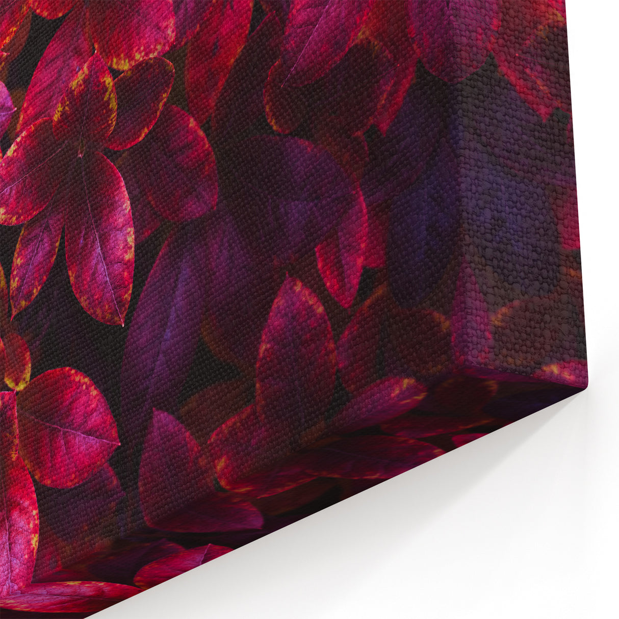 Vibrant Red Botanical Leaves Wall Art - Tropical Leaf Print Decor