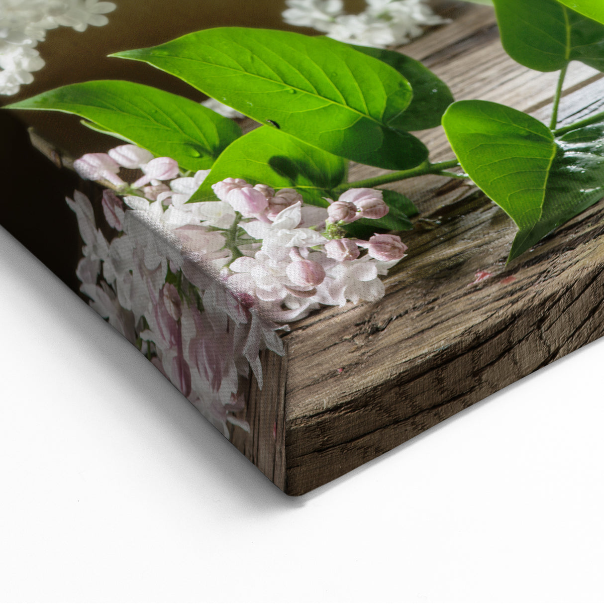 Beautiful Lilac Wall Art - Botanical Lilac Prints for Home and Living Room